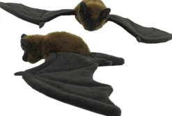 Antics Long-Tailed Bat Fashion
