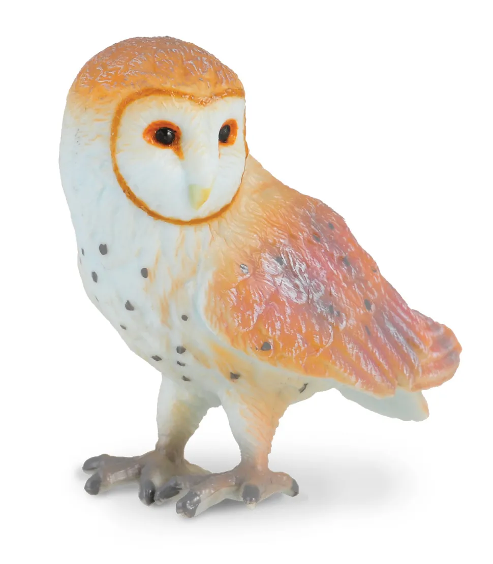 CollectA Barn Owl Figure (Green) Shop
