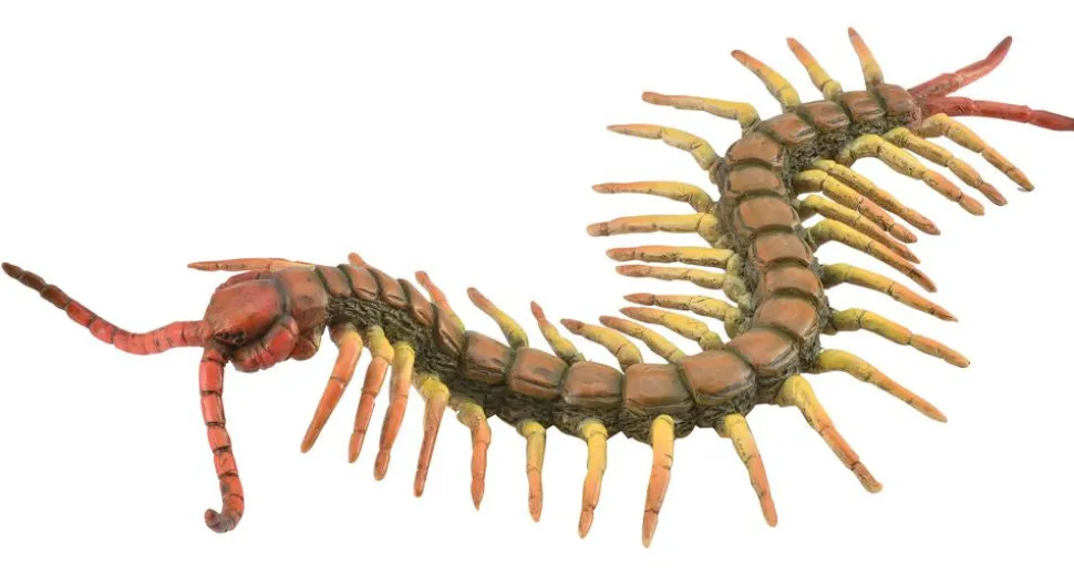 CollectA Centipede (Yellow) Fashion
