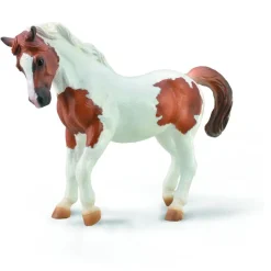 CollectA Chincoteague Pony - Chestnut Pinto (Grey) Best Sale