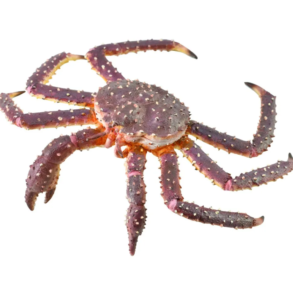 CollectA King Crab (Grey) Online
