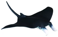 CollectA Manta Ray Figure (Red) Outlet