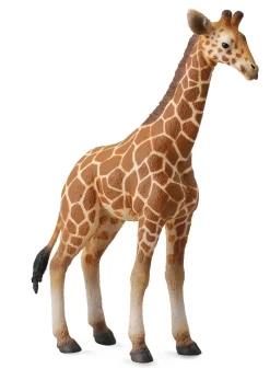 CollectA Reticulated Giraffe Calf (Yellow) New