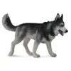 CollectA Siberian Husky (Yellow) Cheap