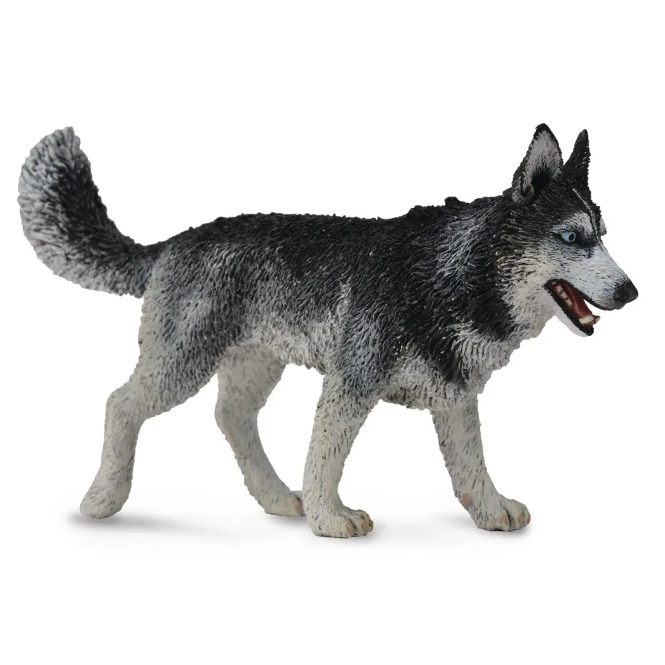 CollectA Siberian Husky (Yellow) Cheap