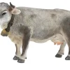 CollectA Tyrolean Grey (Yellow) Store