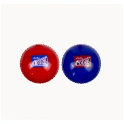 Cooee Beach Cricket - Double Best