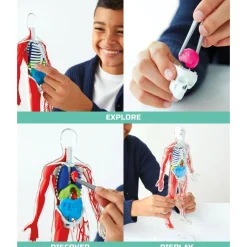 Discovery Mindblown 3D Human AnaTOMY Kit Hot