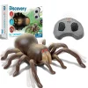 Discovery Remote Control Tarantula New