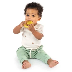 Ingenuity Cool Bite Water Teether Bomby Cheap
