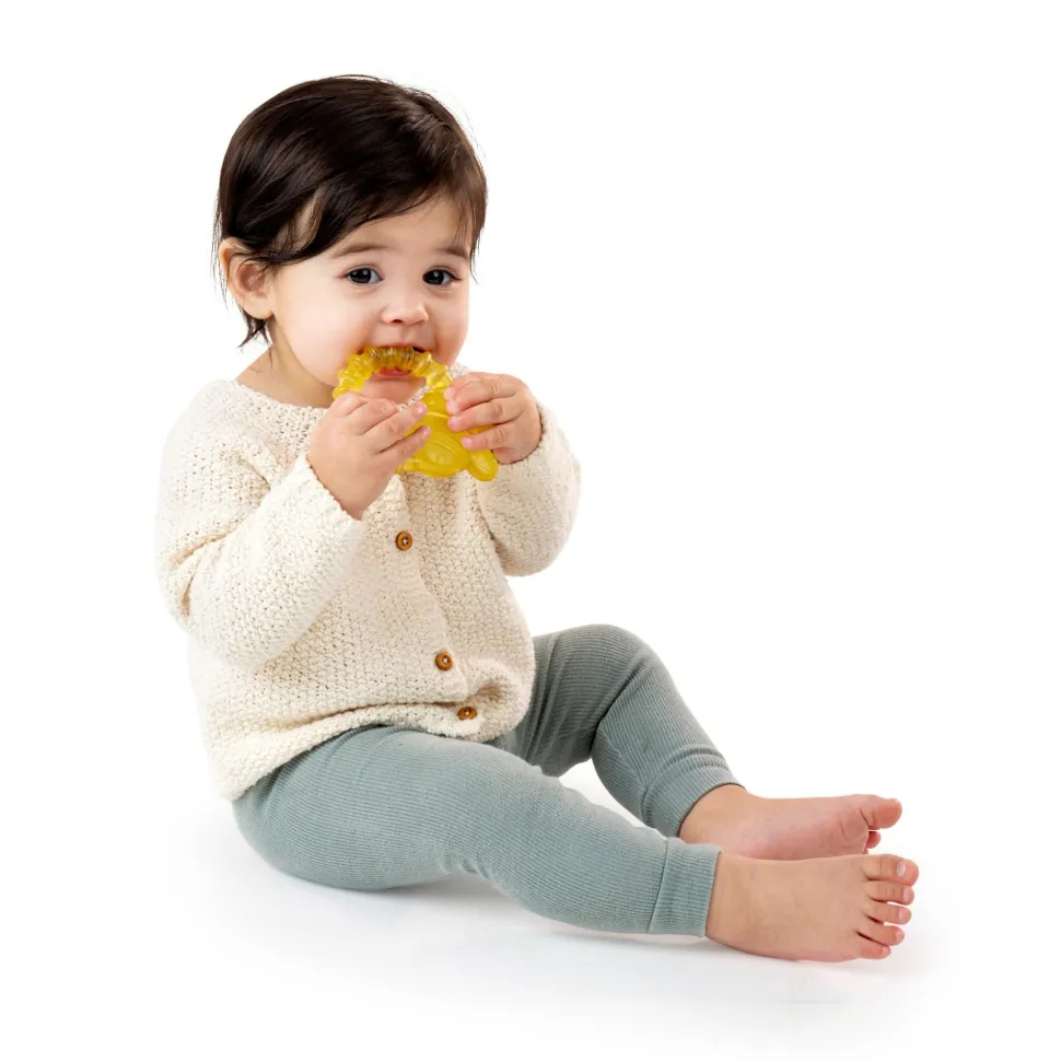 Ingenuity Cool Bite Water Teether Bomby Cheap