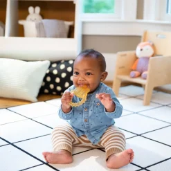Ingenuity Cool Bite Water Teether Bomby Cheap