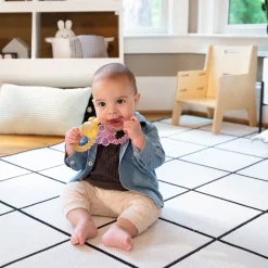 Ingenuity Cool Bite Water Teether Bomby Cheap
