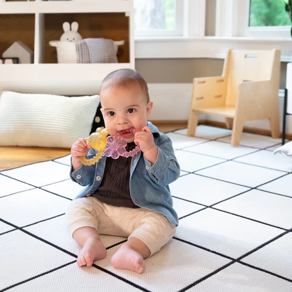 Ingenuity Cool Bite Water Teether Bomby Cheap