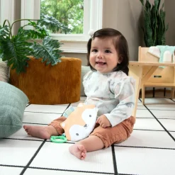 Ingenuity Crinklet - Kitt Hot