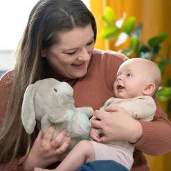 Ingenuity Heart To Hugs Soothing Plush - Sylvie Online