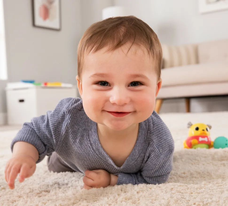 Lamaze Crawl & Chase Pug Popper Online