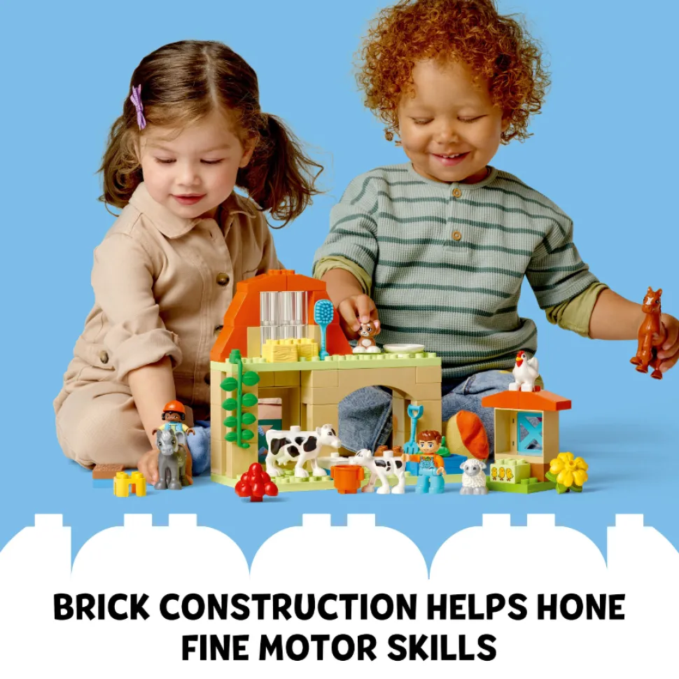 LEGO 10416 Duplo Caring For Animals At The Farm Cheap
