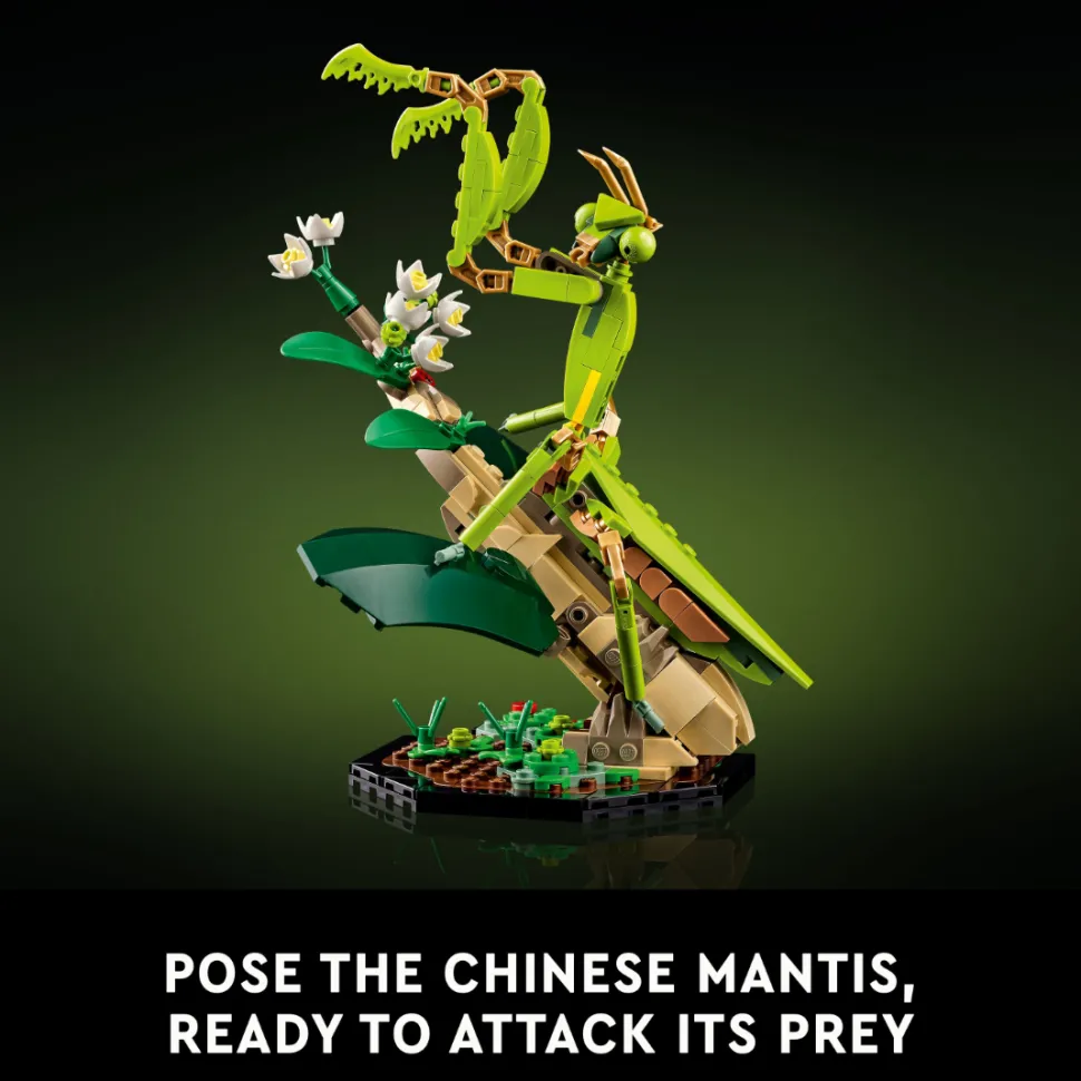 LEGO 21342 Ideas The Insect Collection Cheap