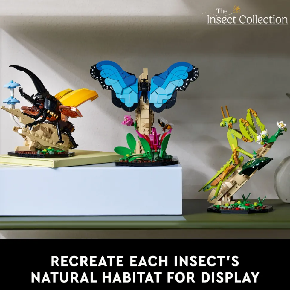 LEGO 21342 Ideas The Insect Collection Cheap