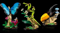 LEGO 21342 Ideas The Insect Collection Cheap