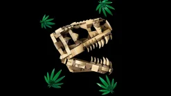LEGO 76964 Jurassic World Dinosaur Fossils: T.Rex Skull Sale