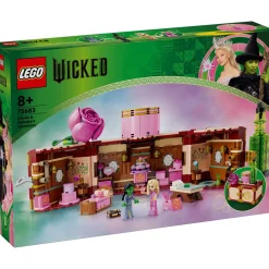 LEGO 75683 Wicked Glinda & Elphaba's Dormitory Outlet
