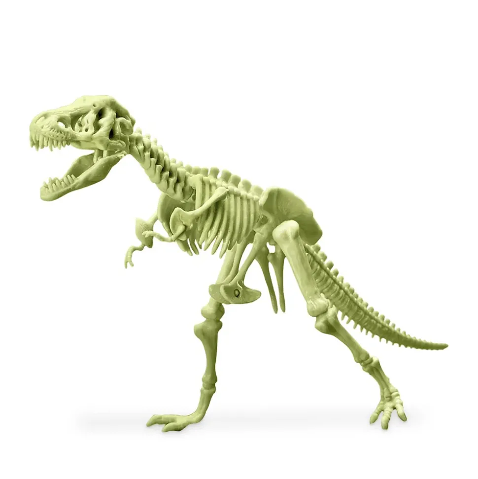4M - Kidzlabs - Glowing T-Rex Skeleton Hot