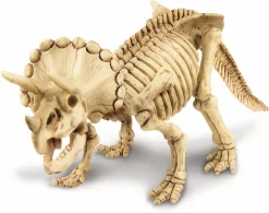 4M Kidz Labs Dinosaur Excavation Kit Triceratops Store
