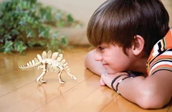 4M Kidz Labs Dinosaur Excavation Kit Stegosaurus Cheap