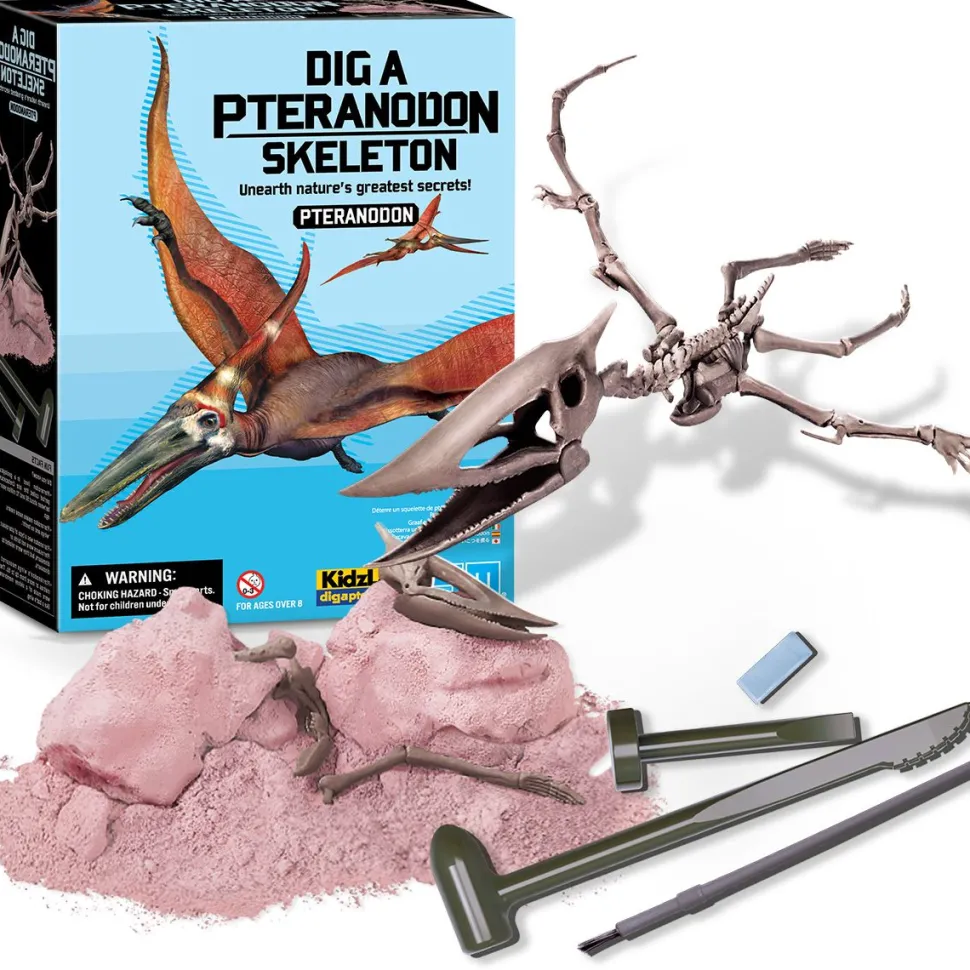 4M Kidzlabs/Dig A Pteranodon Skeleton Sale