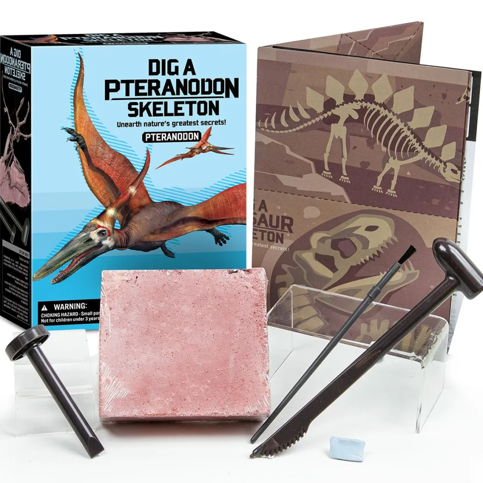 4M Kidzlabs/Dig A Pteranodon Skeleton Sale