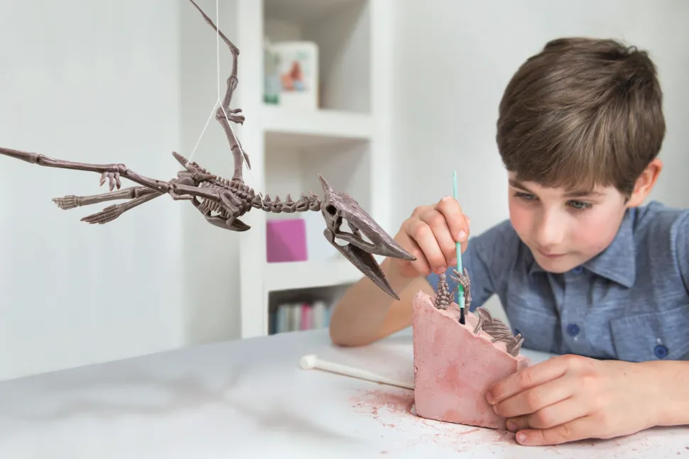 4M Kidzlabs/Dig A Pteranodon Skeleton Sale
