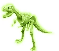 4M Sci:Bits Glow T-Rex Skeleton Shop