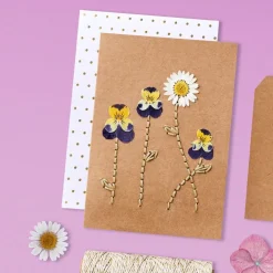 Hinkler Omc! Be Impressed Pressed Flower Kit New