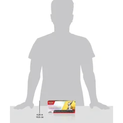 Pokemon TCG 2023 Trainer's Toolkit Store