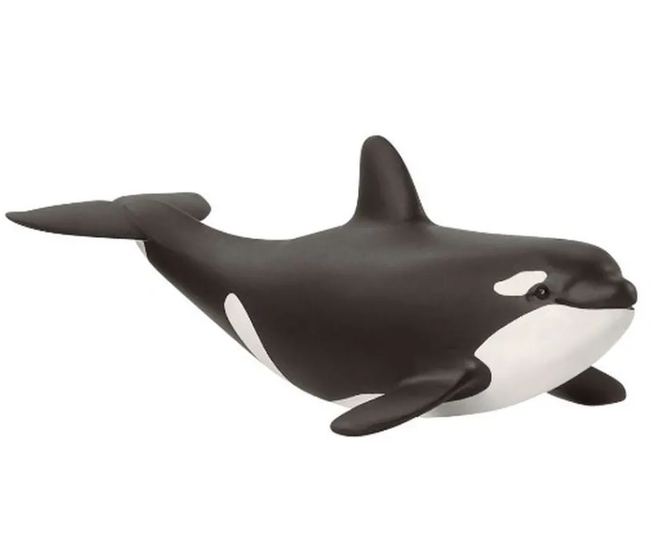 Schleich Baby Orca Flash Sale