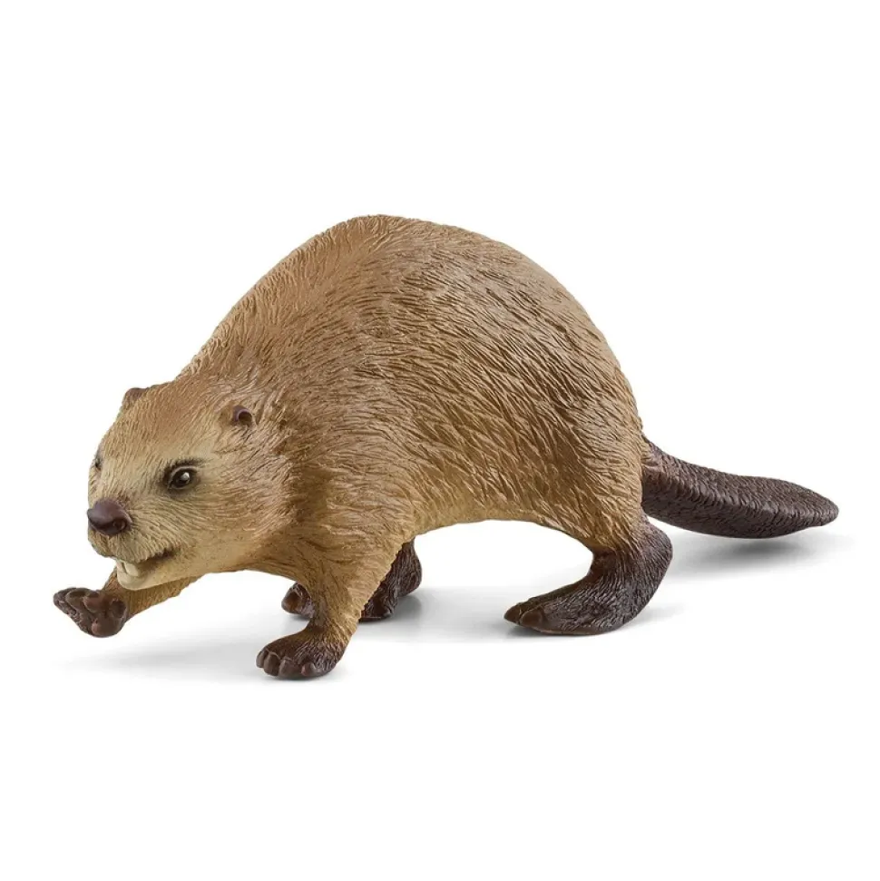 Schleich Beaver Best Sale