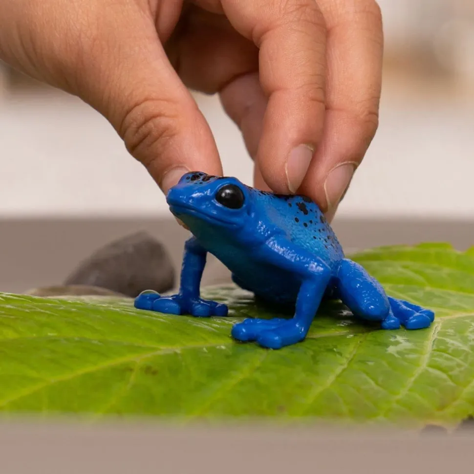Schleich Blue Poison Dart Frog Discount