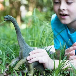 Schleich Brachiosaurus Clearance
