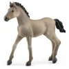 Schleich Criollo Definitivo Foal New