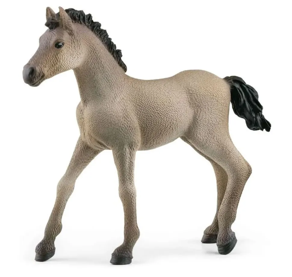 Schleich Criollo Definitivo Foal New