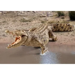 Schleich Crocodile Outlet