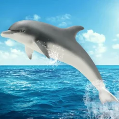 Schleich Dolphin Outlet