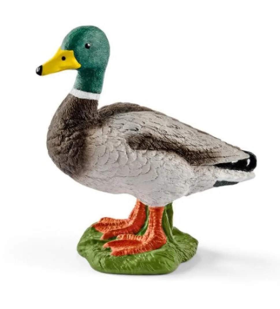 Schleich Drake New