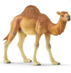 Schleich Dromedary Best