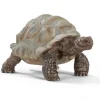 Schleich Giant Tortoise Outlet