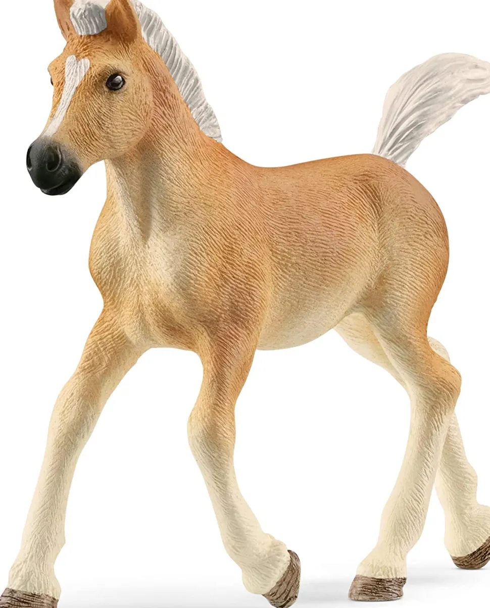 Schleich Haflinger Foal Shop
