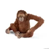 Schleich Orangutan Female Store