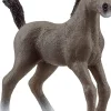Schleich Selle Francais Foal Sale
